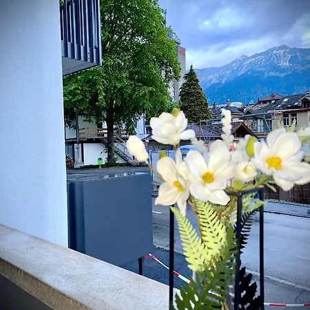 Center * Interlaken
